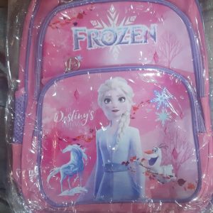 Frozen 3 compartment #611 school bag