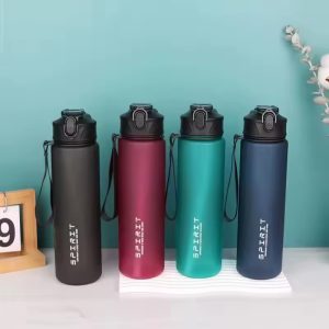 Spirit 750ml water bottle
